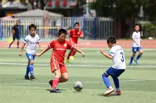 CSES,重金属环境,健康风险评,PG电子平台,PG电子官方网站,PG电子登录入口,PG电子app下载