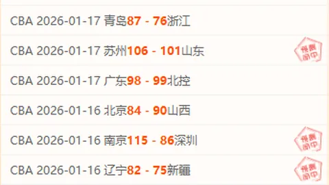 2025NBA全明星赛阵容公布：王鹤棣连续两年入选，创纪录_体育新闻_央视网