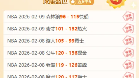 大乐透期号专家质合分析：掘金VS灰熊推荐解读